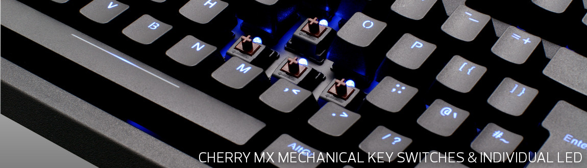 Max Keyboard Blackbird TKL Backlit Mechanical Keyboard